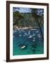 View over Bay, Aiguablava, Near Begur, Costa Brava, Catalonia, Spain, Mediterranean, Europe-Stuart Black-Framed Photographic Print