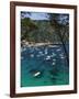 View over Bay, Aiguablava, Near Begur, Costa Brava, Catalonia, Spain, Mediterranean, Europe-Stuart Black-Framed Photographic Print