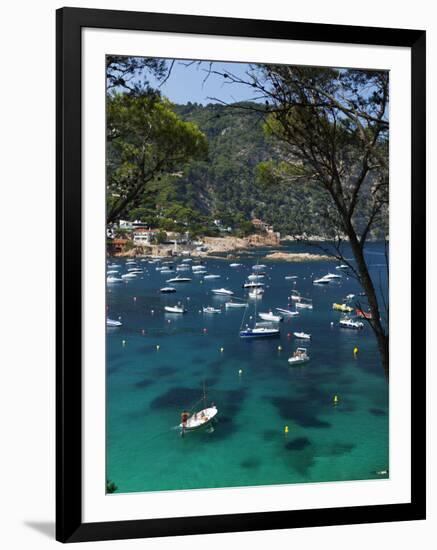 View over Bay, Aiguablava, Near Begur, Costa Brava, Catalonia, Spain, Mediterranean, Europe-Stuart Black-Framed Photographic Print