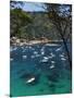 View over Bay, Aiguablava, Near Begur, Costa Brava, Catalonia, Spain, Mediterranean, Europe-Stuart Black-Mounted Photographic Print