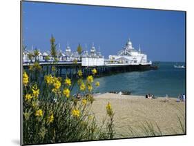 View over Beach and Pier, Eastbourne, East Sussex, England, United Kingdom, Europe-Stuart Black-Mounted Photographic Print