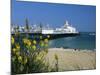 View over Beach and Pier, Eastbourne, East Sussex, England, United Kingdom, Europe-Stuart Black-Mounted Photographic Print