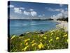 View over Beach in Spring, Fontane Bianche, Near Siracusa, Sicily, Italy, Mediterranean, Europe-Stuart Black-Stretched Canvas