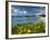 View over Beach in Spring, Fontane Bianche, Near Siracusa, Sicily, Italy, Mediterranean, Europe-Stuart Black-Framed Photographic Print