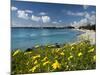 View over Beach in Spring, Fontane Bianche, Near Siracusa, Sicily, Italy, Mediterranean, Europe-Stuart Black-Mounted Photographic Print