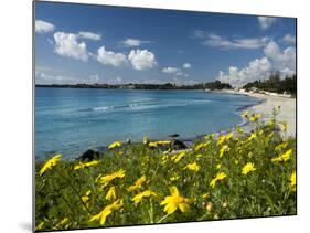 View over Beach in Spring, Fontane Bianche, Near Siracusa, Sicily, Italy, Mediterranean, Europe-Stuart Black-Mounted Photographic Print