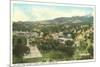 View over Bishops Lodge, Santa Fe, New Mexico-null-Mounted Premium Giclee Print