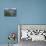 View over Botafogo and the Corcovado from the Sugar Loaf Mountain-Gabrielle and Michael Therin-Weise-Photographic Print displayed on a wall