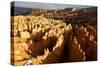 View over Bryce Canyon National Park at Sunset, Utah, United States of America, North America-Olivier Goujon-Stretched Canvas