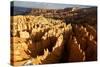 View over Bryce Canyon National Park at Sunset, Utah, United States of America, North America-Olivier Goujon-Stretched Canvas