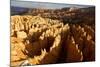 View over Bryce Canyon National Park at Sunset, Utah, United States of America, North America-Olivier Goujon-Mounted Photographic Print