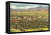 View over Business District, El Paso, Texas-null-Framed Stretched Canvas