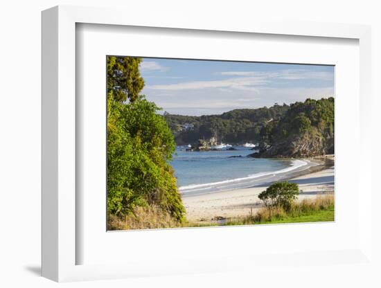 View over Butterfield Beach, Halfmoon Bay, Oban, Stewart Island, Southland, South Island, New Zeala-Ruth Tomlinson-Framed Photographic Print