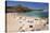 View over Cala Pregondo and Cala Pregonda-Stuart Black-Stretched Canvas