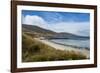 View over Carcass Island, Falkland Islands, South America-Michael Runkel-Framed Photographic Print