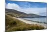 View over Carcass Island, Falkland Islands, South America-Michael Runkel-Mounted Photographic Print