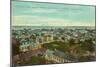 View over Charleston, South Carolina-null-Mounted Art Print