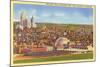 View over Cincinnati, Ohio-null-Mounted Art Print