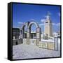 View over City and Great Mosque from Tiled Roof Top, Tunis, Tunisia, North Africa, Africa-Stuart Black-Framed Stretched Canvas