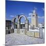 View over City and Great Mosque from Tiled Roof Top, Tunis, Tunisia, North Africa, Africa-Stuart Black-Mounted Photographic Print