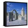 View over City and Great Mosque from Tiled Roof Top, Tunis, Tunisia, North Africa, Africa-Stuart Black-Framed Stretched Canvas