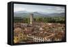 View over City to San Frediano from Atop Torre Guinigi, Lucca, Tuscany, Italy, Europe-Stuart Black-Framed Stretched Canvas