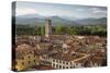 View over City to San Frediano from Atop Torre Guinigi, Lucca, Tuscany, Italy, Europe-Stuart Black-Stretched Canvas