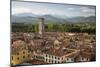 View over City to San Frediano from Atop Torre Guinigi, Lucca, Tuscany, Italy, Europe-Stuart Black-Mounted Photographic Print