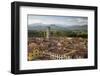 View over City to San Frediano from Atop Torre Guinigi, Lucca, Tuscany, Italy, Europe-Stuart Black-Framed Photographic Print