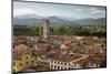 View over City to San Frediano from Atop Torre Guinigi, Lucca, Tuscany, Italy, Europe-Stuart Black-Mounted Photographic Print