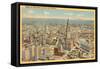 View over Downtown Cleveland, Ohio-null-Framed Stretched Canvas