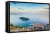 View over Dubrovnik, Lokum Island and Adriatic Sea, Dubrovnik, Dalmatian Coast, Croatia, Europe-Matthew Williams-Ellis-Framed Stretched Canvas