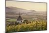 View over Ehrenstetten Oelbergkapelle Chapel to Staufen Castle-Markus Lange-Mounted Photographic Print