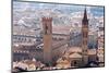 View over Florence from the Duomo, Tower of Bargello, Florence (Firenze), Tuscany, Italy, Europe-Nico Tondini-Mounted Photographic Print