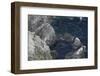 View over Gannet Colony (Morus Bassanus) with Flight Trails of Birds in Flight, Shetland, Scotland-Peter Cairns-Framed Photographic Print