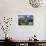 View over Garden Gate and Hedge with Flowering Oxeye Daisies-Uwe Steffens-Photographic Print displayed on a wall