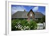 View over Garden Gate and Hedge with Flowering Oxeye Daisies-Uwe Steffens-Framed Photographic Print