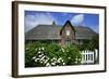 View over Garden Gate and Hedge with Flowering Oxeye Daisies-Uwe Steffens-Framed Photographic Print