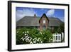 View over Garden Gate and Hedge with Flowering Oxeye Daisies-Uwe Steffens-Framed Photographic Print