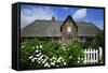 View over Garden Gate and Hedge with Flowering Oxeye Daisies-Uwe Steffens-Framed Stretched Canvas