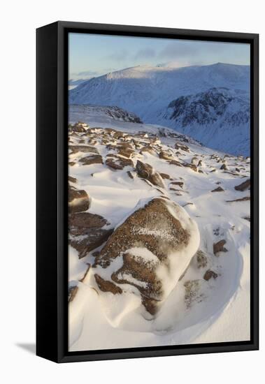 View over Glen Avon to Beinn Mheadhoin in Winter, Cairngorms National Park, Scotland, December-Mark Hamblin-Framed Stretched Canvas