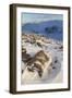 View over Glen Avon to Beinn Mheadhoin in Winter, Cairngorms National Park, Scotland, December-Mark Hamblin-Framed Photographic Print