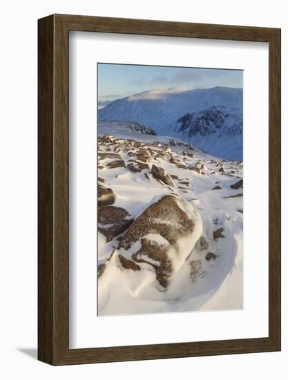 View over Glen Avon to Beinn Mheadhoin in Winter, Cairngorms National Park, Scotland, December-Mark Hamblin-Framed Photographic Print