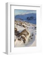 View over Glen Avon to Beinn Mheadhoin in Winter, Cairngorms National Park, Scotland, December-Mark Hamblin-Framed Photographic Print