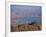 View over Gulf of Eilat, Eilat, Israel, Middle East-Simanor Eitan-Framed Photographic Print