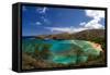 View over Hanauma Bay, a Popular Beach and Snorkeling Spot on Oahu, Hawaii, USA-Dirk Rueter-Framed Stretched Canvas