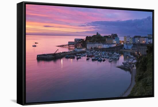 View over Harbour and Castle at Dawn, Tenby, Carmarthen Bay, Pembrokeshire, Wales, UK-Stuart Black-Framed Stretched Canvas