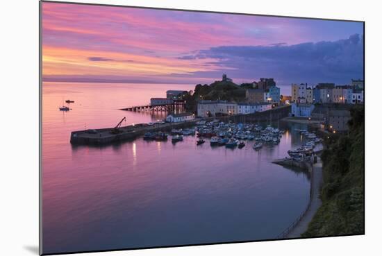 View over Harbour and Castle at Dawn, Tenby, Carmarthen Bay, Pembrokeshire, Wales, UK-Stuart Black-Mounted Photographic Print