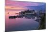 View over Harbour and Castle at Dawn, Tenby, Carmarthen Bay, Pembrokeshire, Wales, UK-Stuart Black-Mounted Photographic Print