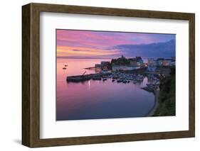 View over Harbour and Castle at Dawn, Tenby, Carmarthen Bay, Pembrokeshire, Wales, UK-Stuart Black-Framed Photographic Print